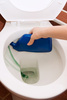 toilet cleaning - photo/picture definition - toilet cleaning word and phrase image