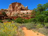 Utah red mountains - photo/picture definition - Utah red mountains word and phrase image
