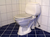 toilet - photo/picture definition - toilet word and phrase image