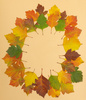 autumn herbarium - photo/picture definition - autumn herbarium word and phrase image