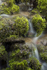 mossy rocks - photo/picture definition - mossy rocks word and phrase image