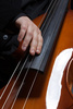 electric contrabass - photo/picture definition - electric contrabass word and phrase image