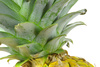 pineapple leaf - photo/picture definition - pineapple leaf word and phrase image