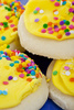 frosted sugar cookies - photo/picture definition - frosted sugar cookies word and phrase image