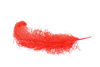 red feather - photo/picture definition - red feather word and phrase image