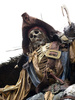 pirate skeleton - photo/picture definition - pirate skeleton word and phrase image