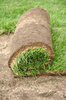 sod roll - photo/picture definition - sod roll word and phrase image
