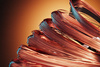 copper skeins - photo/picture definition - copper skeins word and phrase image