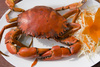 cooked crab - photo/picture definition - cooked crab word and phrase image