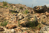 area landfills - photo/picture definition - area landfills word and phrase image
