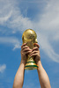soccer cup - photo/picture definition - soccer cup word and phrase image