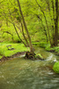 mountain stream - photo/picture definition - mountain stream word and phrase image