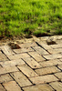 brick pavers - photo/picture definition - brick pavers word and phrase image