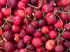 juicy cherries - photo/picture definition - juicy cherries word and phrase image
